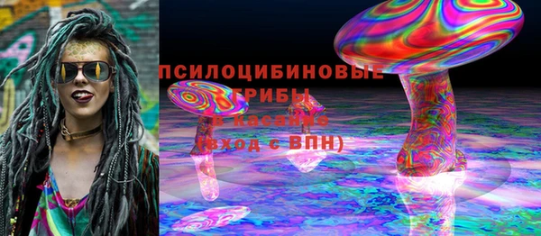 эйфоретик Алзамай